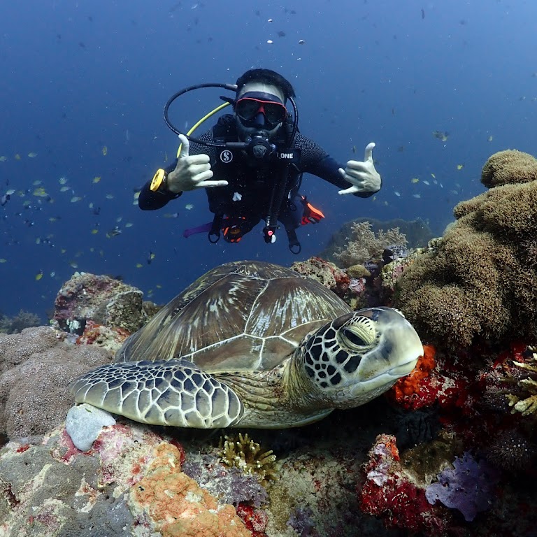 Scuba Diving Trincomalee & Dutch Bay Watersports