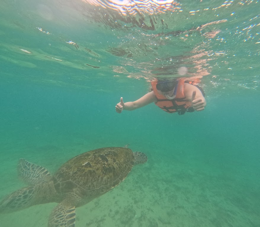 Splash Zone Diving And Tours