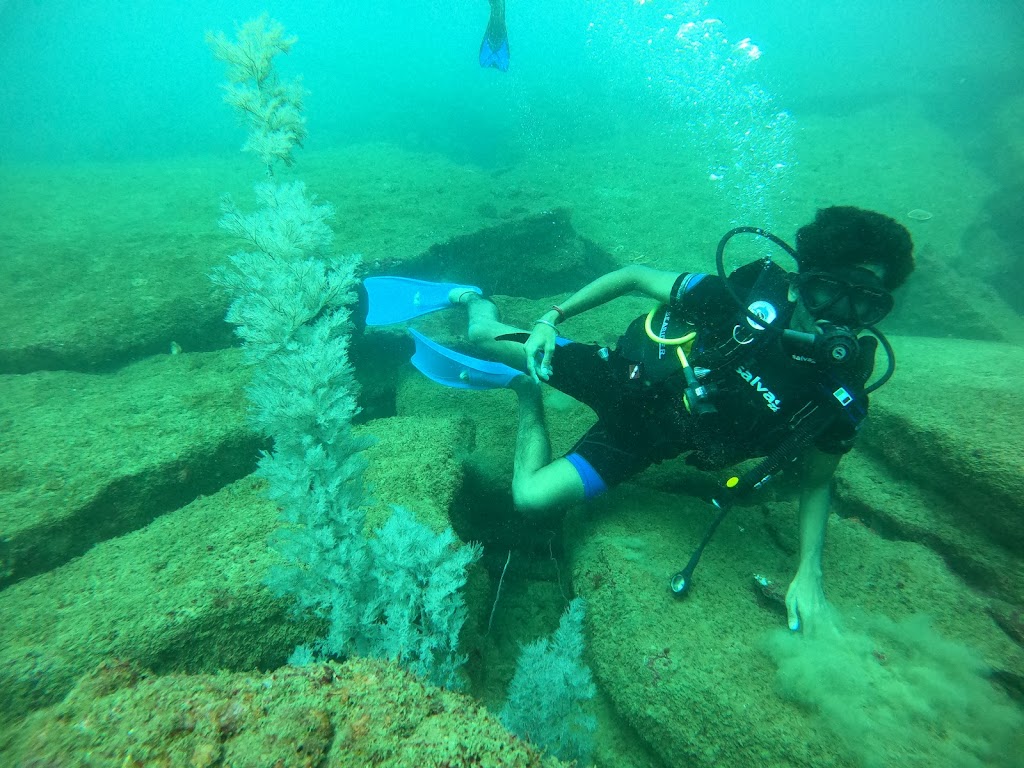 Sri Lanka Divers Unawatuna