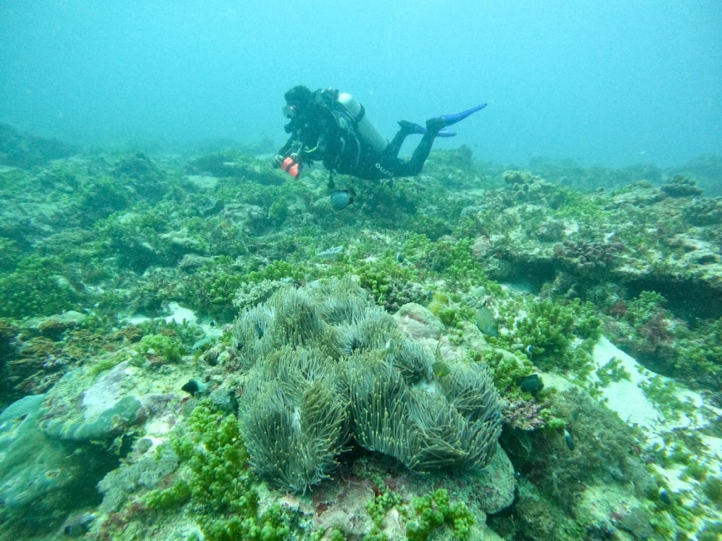 Manta Coast Divers