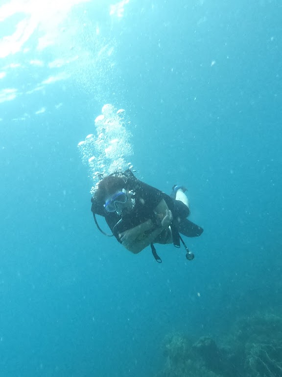 Member Diving