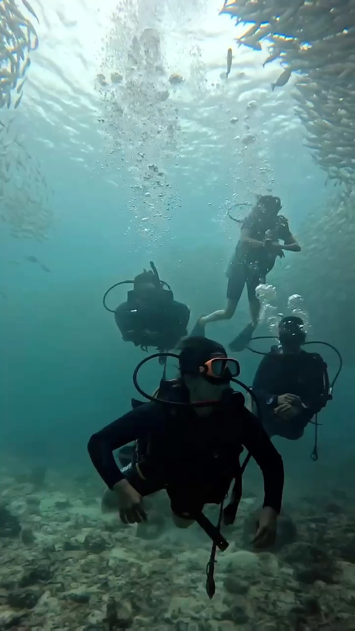 Mojo Diver