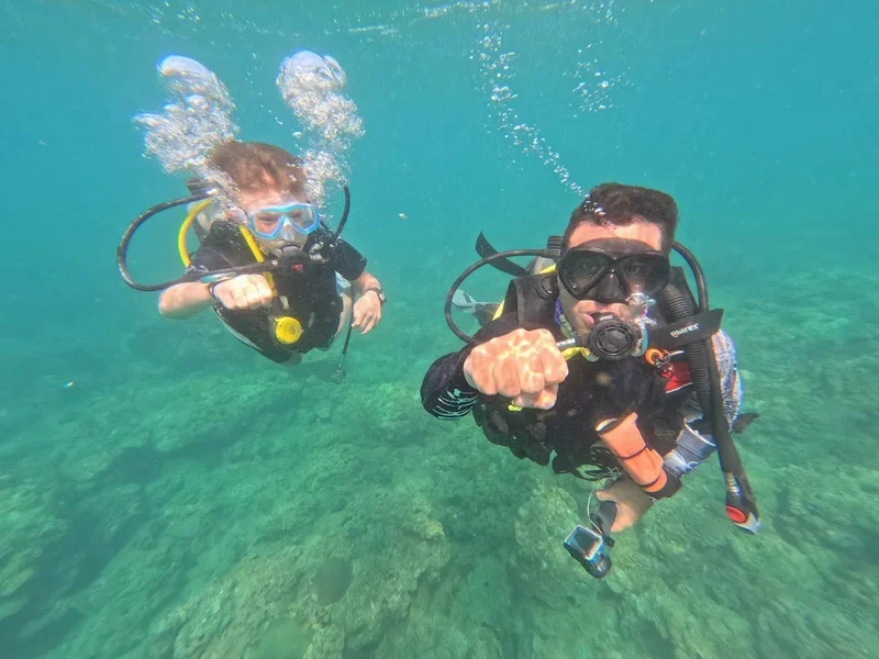 Rumblefish Adventure