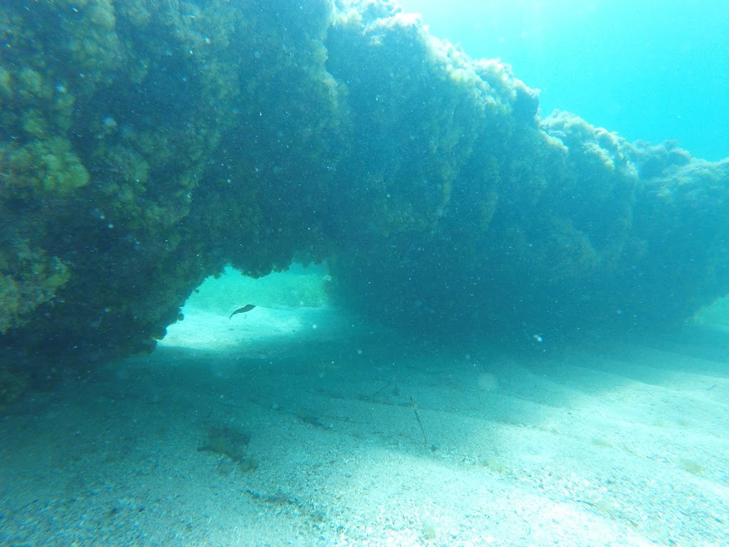 Abyss Dive Center Djerba