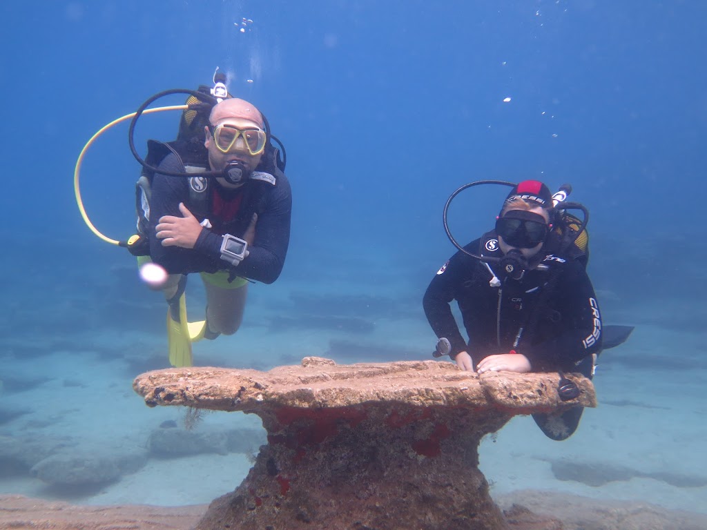 Dalyan Eurodive Dive Centre
