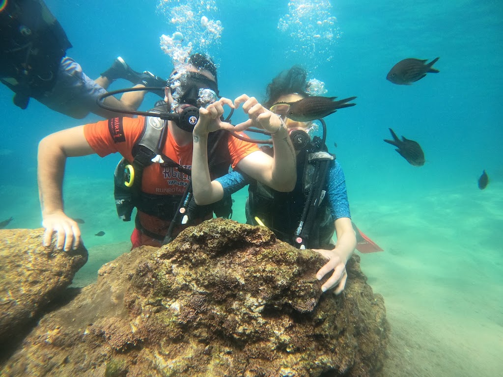 Sea Leon Diving Center
