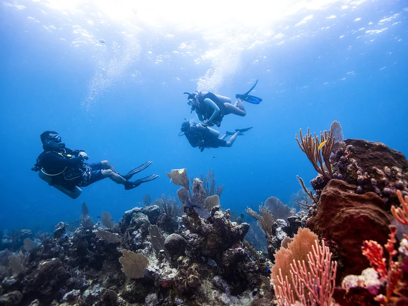 Divers Cove