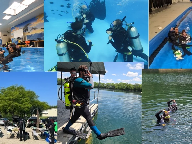 Underwater Safaris