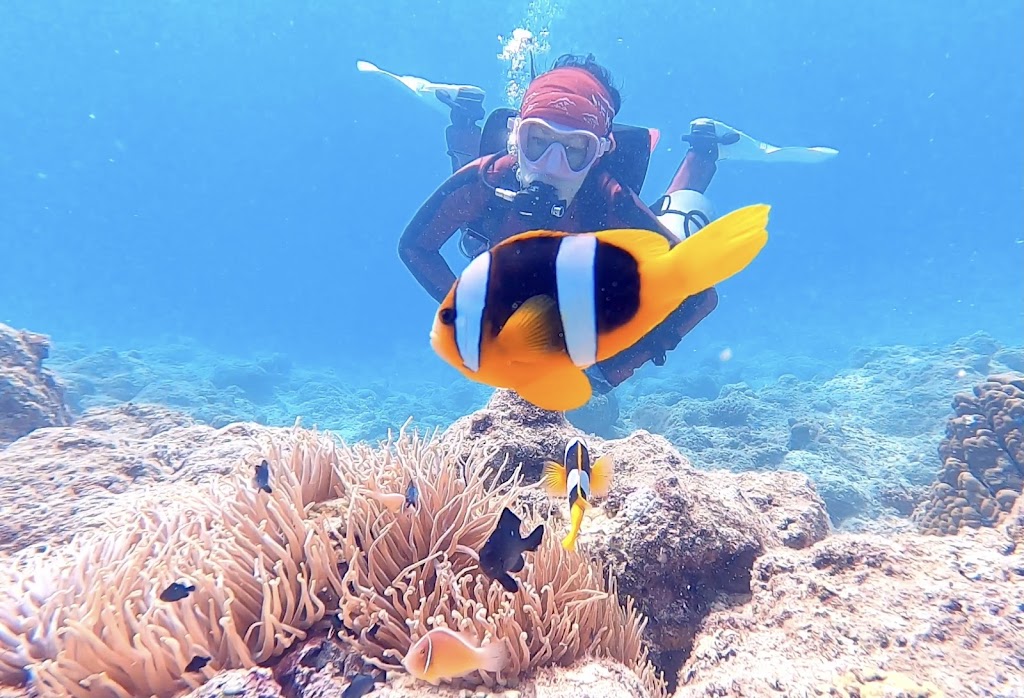 Gone Diving Vanuatu logo