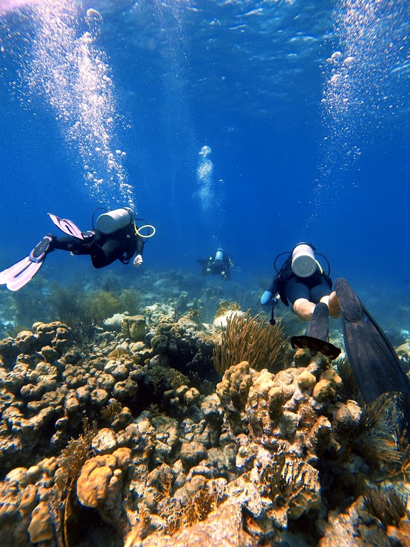 Los Roques Diving