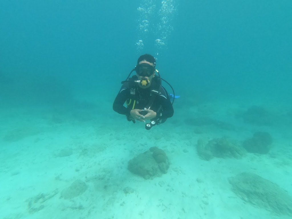 Pilardive