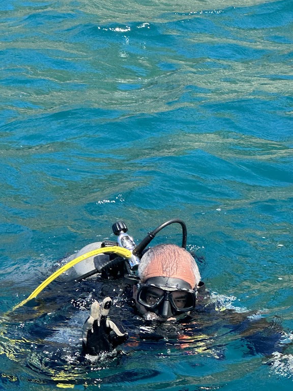Snsi Aquatics Diving Center