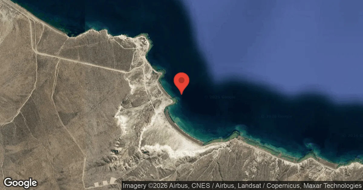 Loberia Punta Loma