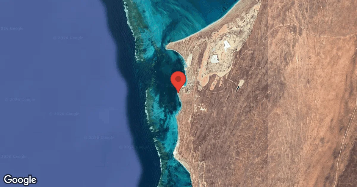 Dive site - Amilda's Garden, Australia