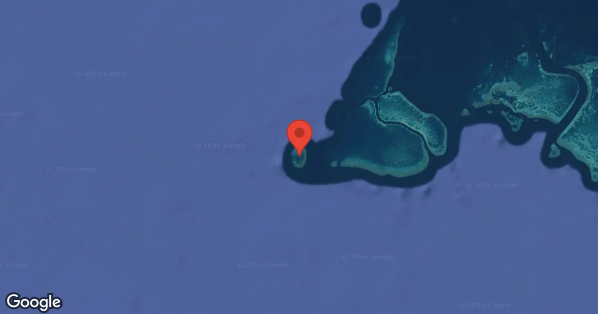 Dive site - Bait Reef, Australia