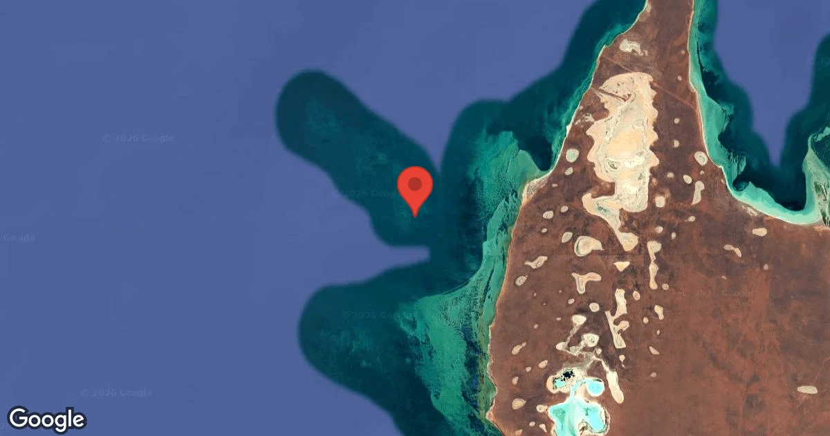 Dive site - Broadhurst Corals, Australia