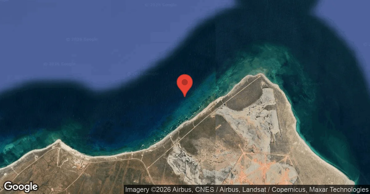 Gullivers