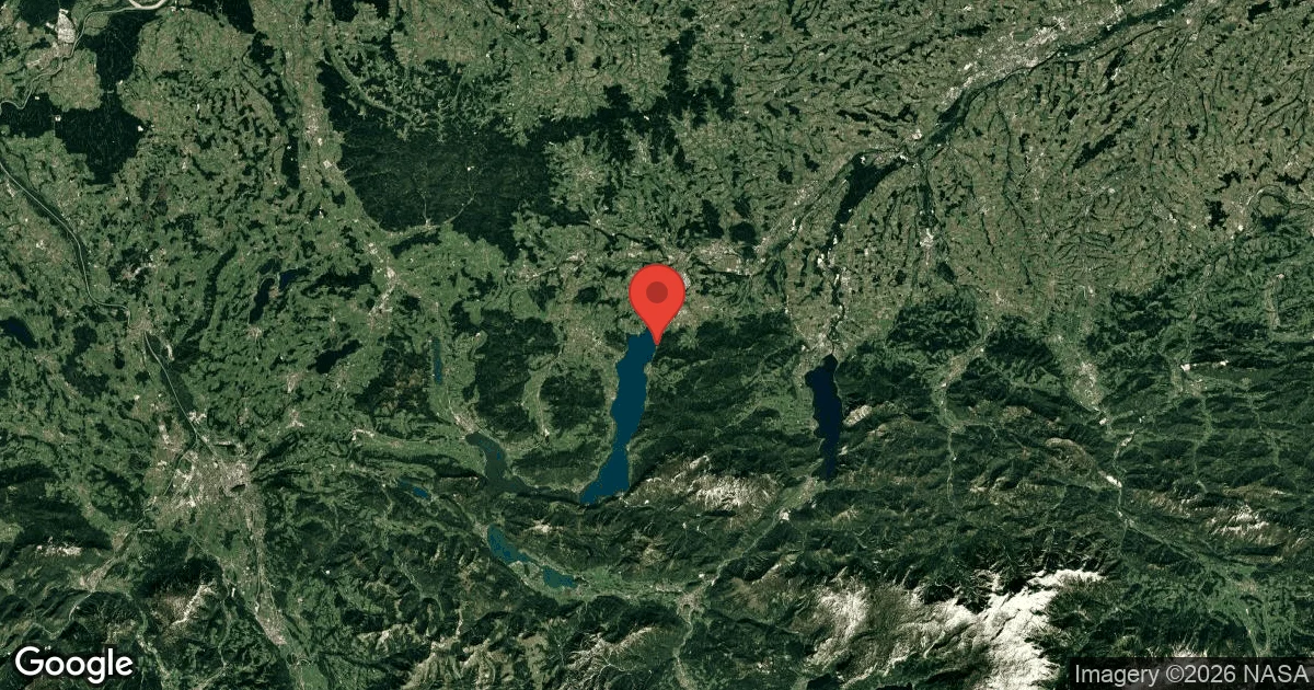 Unterwasserwald