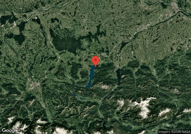 Unterwasserwald