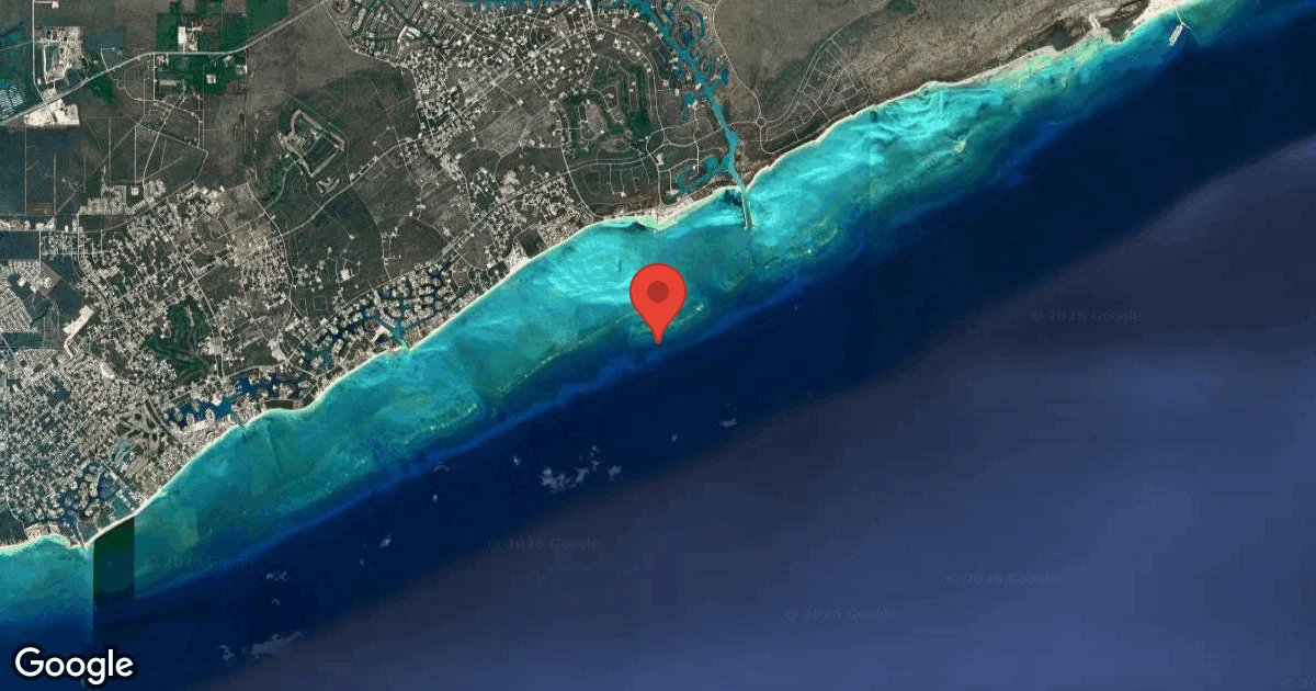 Dive site - Ann's Paradise, Bahamas