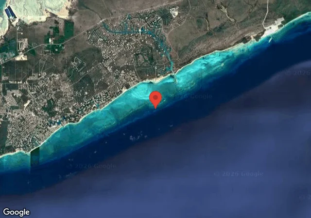 Dive site - Ann's Paradise, Bahamas