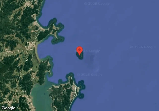 Dive site - Ilha Do Arvoredo - Orquídea, Brazil