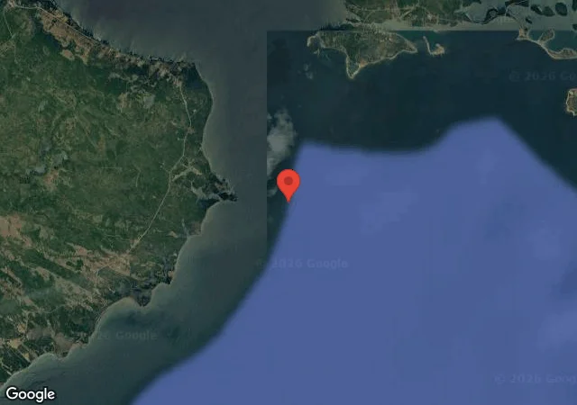Baleine