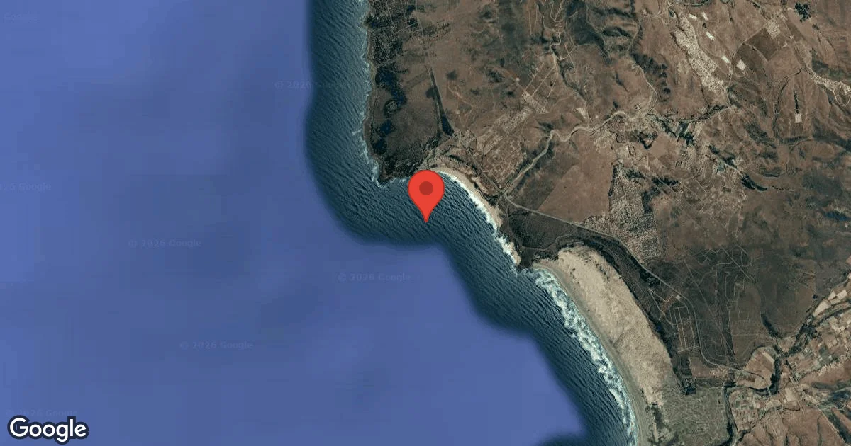 Dive site - Mola Mola, Chile