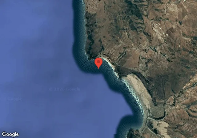 Mola Mola