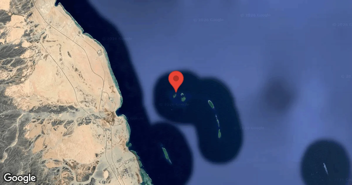 Abu Dabbab 2 * 3 Dive Site