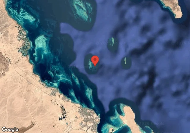 Dive site - Careless Reef, Egypt