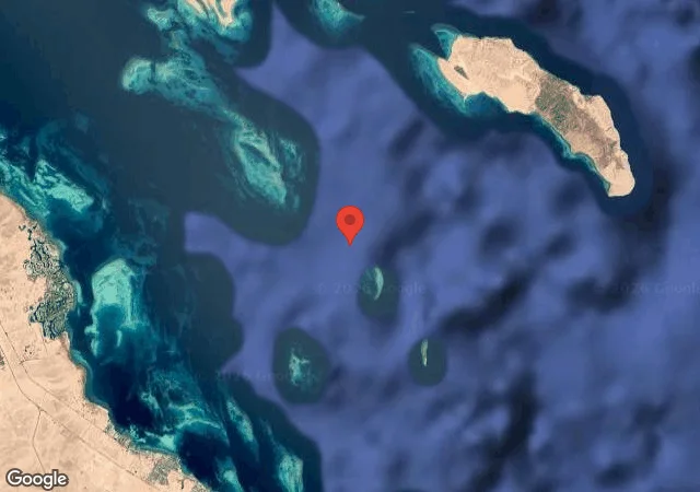 Dive site - Shaab el Erg, Egypt
