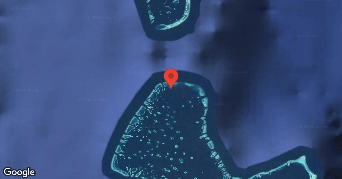 Coral Garden