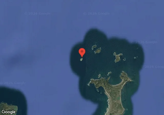 Dive site - The Cross Roads: 20-22MTS, Ireland