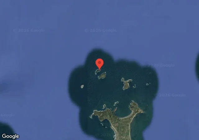 Dive site - The Gully: 8-20MTS, Ireland