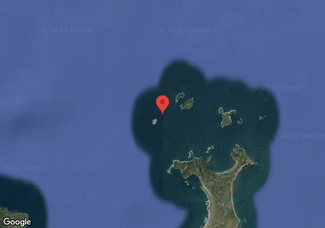 Dive site - The Inner Reef: 18-33MTS, Ireland