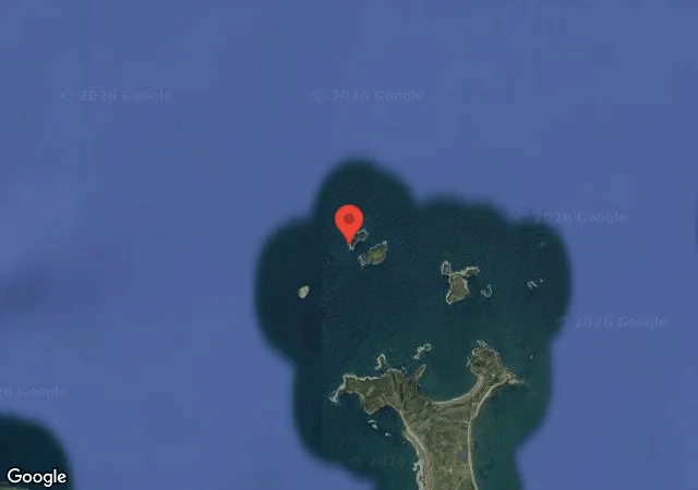 Dive site - The Point: 18-22MTS, Ireland