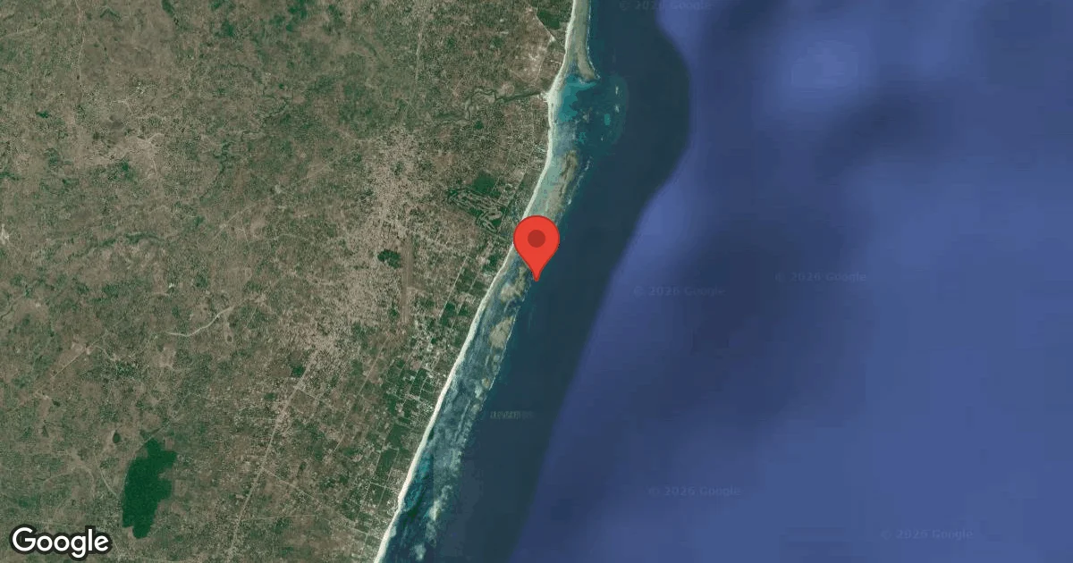 Dive site - Swahili Nurseries, Kenya