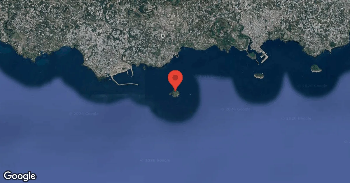 Tiger Island