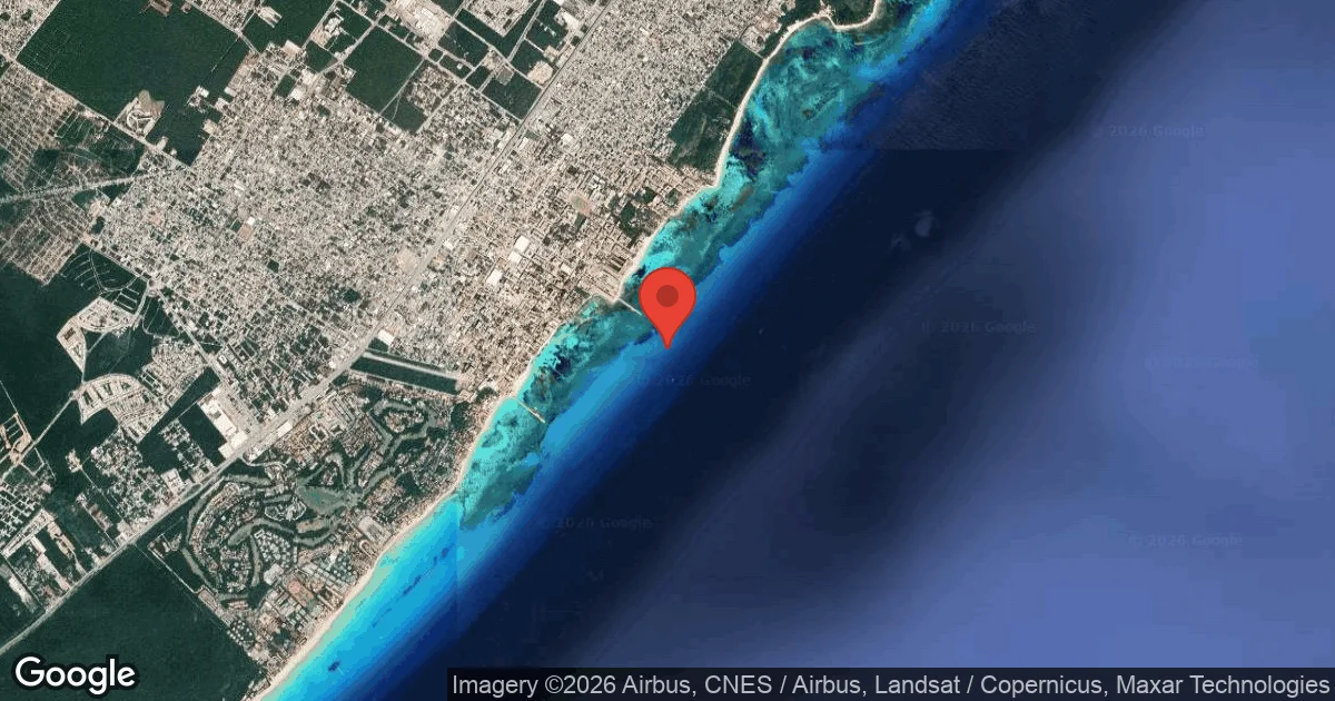 Bullshark Site
