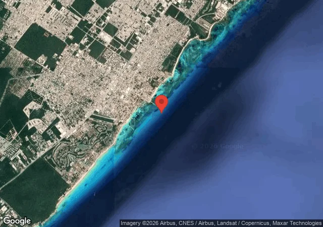 Bullshark Site
