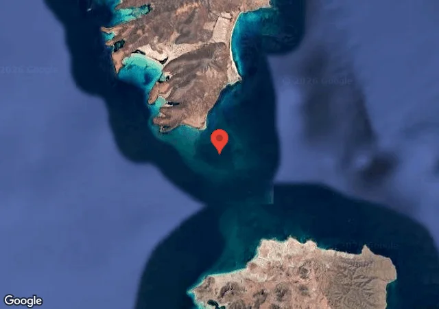 Dive site - Swanee Reef, Mexico