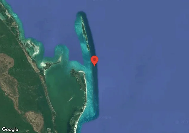 Dive site - Whale Shark Point, Mexico