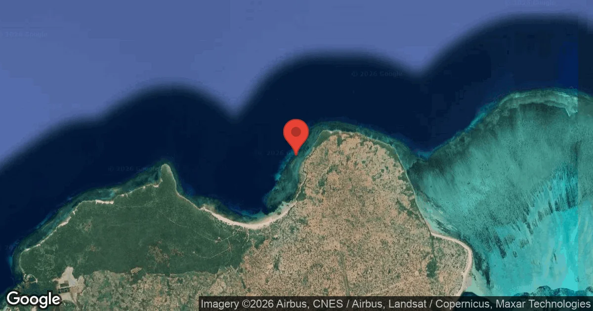 Dive site - Fish Alley, Mozambique