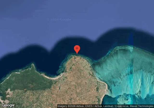 Dive site - Gorgonia Forrest, Mozambique