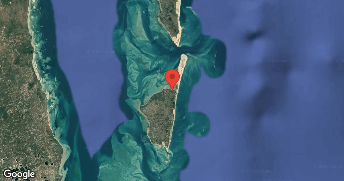 Turtle Coves