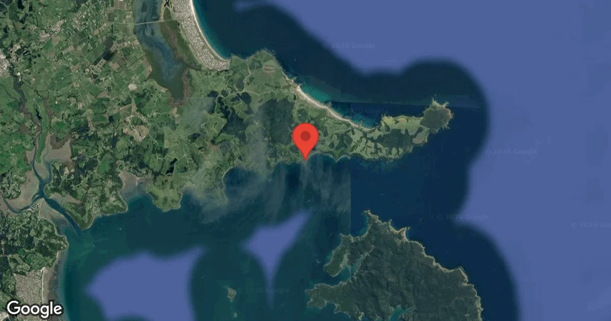 Dive site - Jones Bay, New Zealand