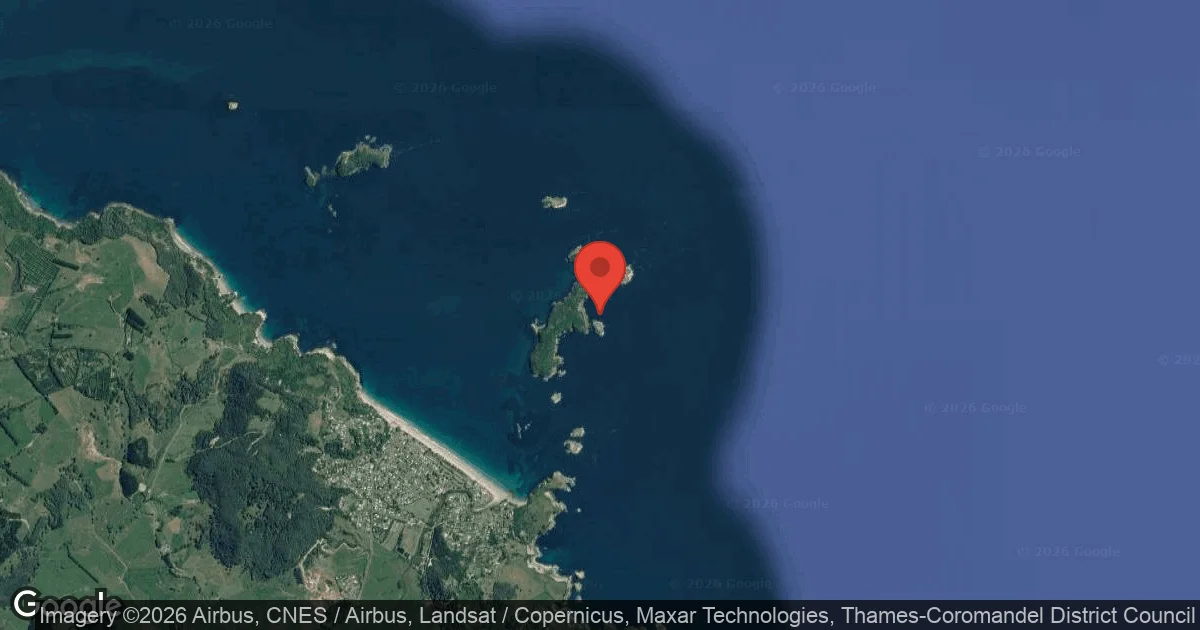 Dive site - Mahurangi Island, New Zealand