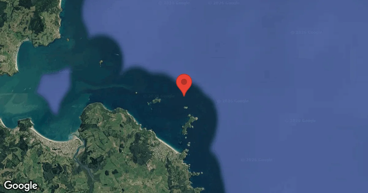 Dive site - South Sunk, New Zealand