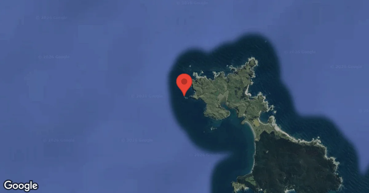 The Bookcase, Great Mercury Island